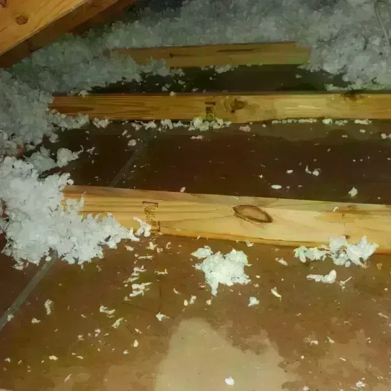 Attic Water Damage in Woodbridge, CA