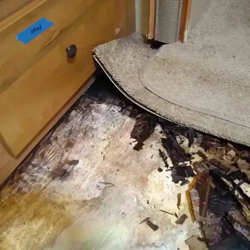 Best Wood Floor Water Damage Service in Woodbridge, CA